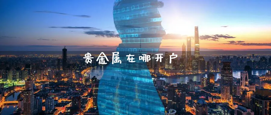 贵金属在哪开户_期货直播室_第1张_51期货直播网 贵金属在哪开户_https://www.51pinbao.com_期货直播室_第1张
