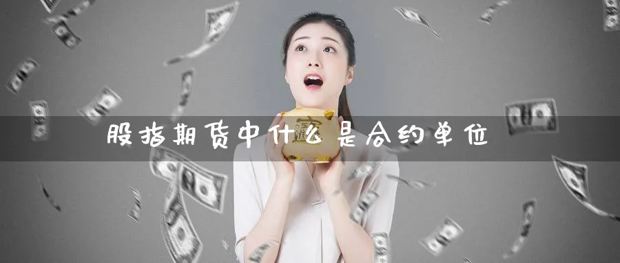 股指期货中什么是合约单位_原油直播室_第1张_51期货直播网 股指期货中什么是合约单位_https://www.51pinbao.com_原油直播室_第1张