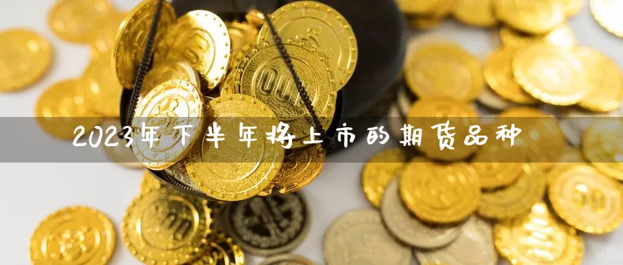 2023年下半年将上市的期货品种_https://www.51pinbao.com_期货直播室_第1张