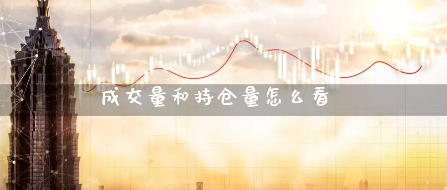 成交量和持仓量怎么看_https://www.51pinbao.com_纳指直播室_第1张