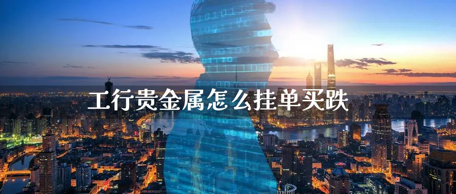 工行贵金属怎么挂单买跌_https://www.51pinbao.com_期货直播室_第1张