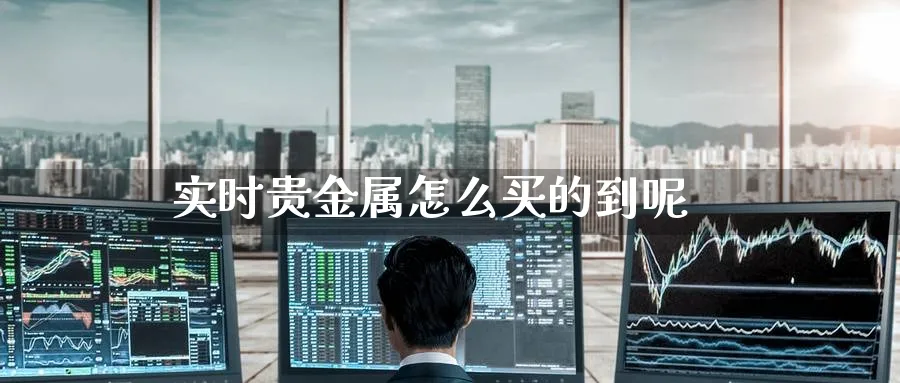 实时贵金属怎么买的到呢_https://www.51pinbao.com_纳指直播室_第1张
