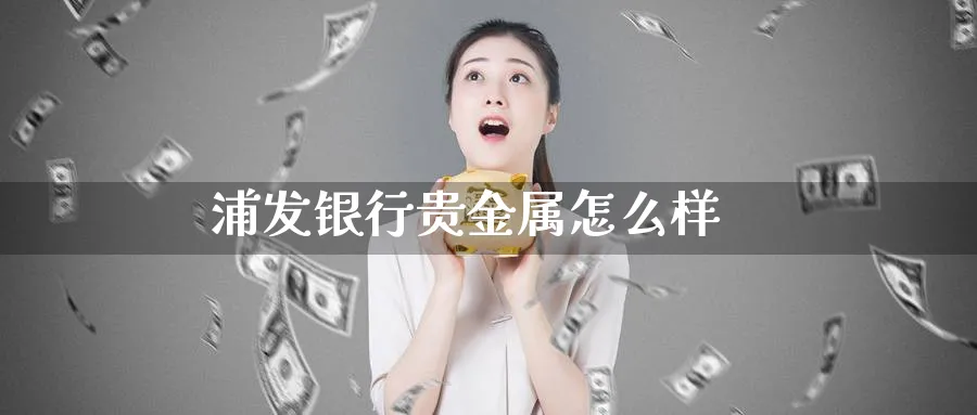 浦发银行贵金属怎么样_https://www.51pinbao.com_恒指直播室_第1张