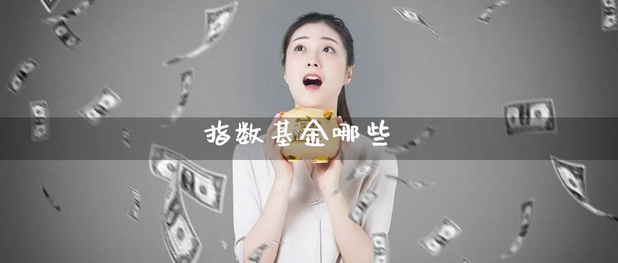 指数基金哪些_期货直播室_第1张_51期货直播网 指数基金哪些_https://www.51pinbao.com_期货直播室_第1张