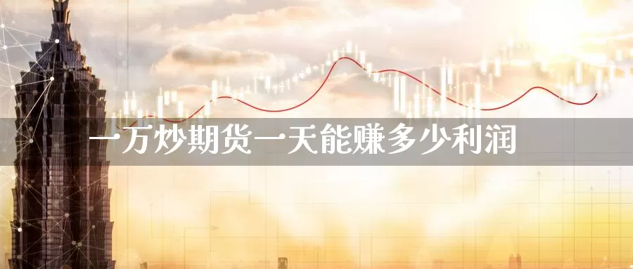 一万炒期货一天能赚多少利润_https://www.51pinbao.com_德指直播室_第1张