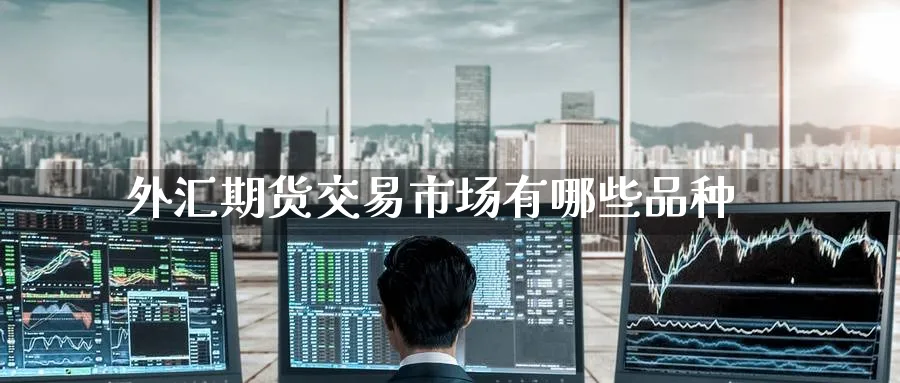 外汇期货交易市场有哪些品种_https://www.51pinbao.com_恒指直播室_第1张