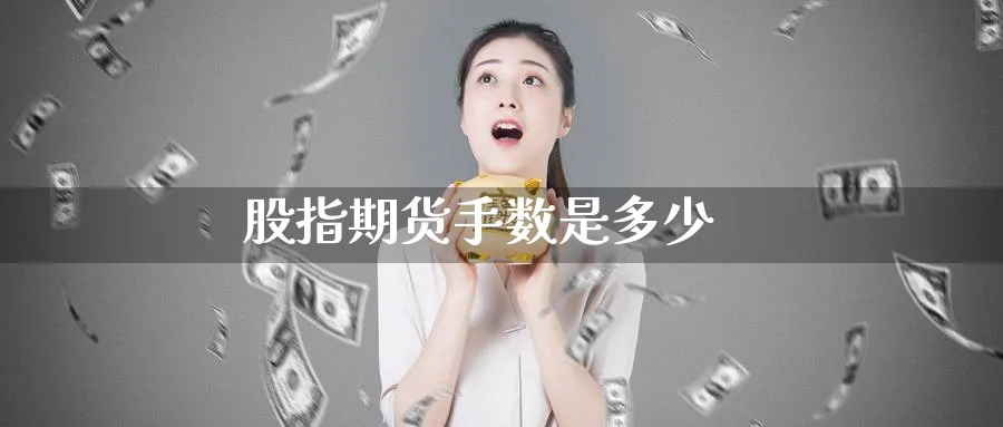 股指期货手数是多少_https://www.51pinbao.com_恒指直播室_第1张