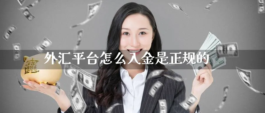 外汇平台怎么入金是正规的_https://www.51pinbao.com_期货直播室_第1张