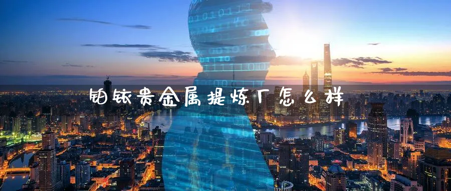 铂铱贵金属提炼厂怎么样_https://www.51pinbao.com_恒指直播室_第1张