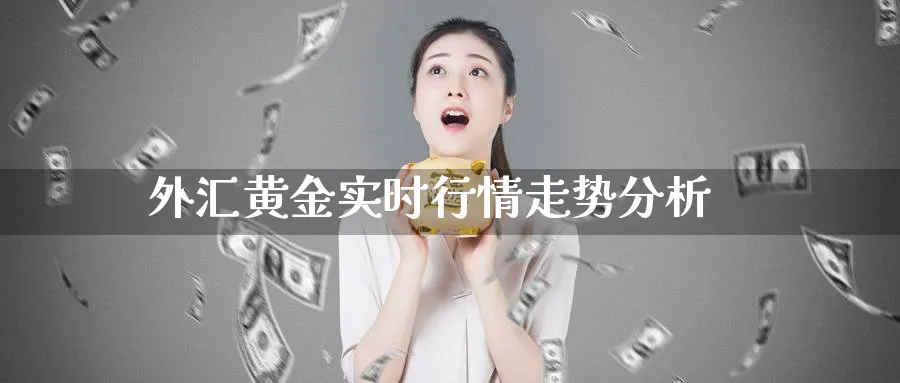 外汇黄金实时行情走势分析_https://www.51pinbao.com_恒指直播室_第1张