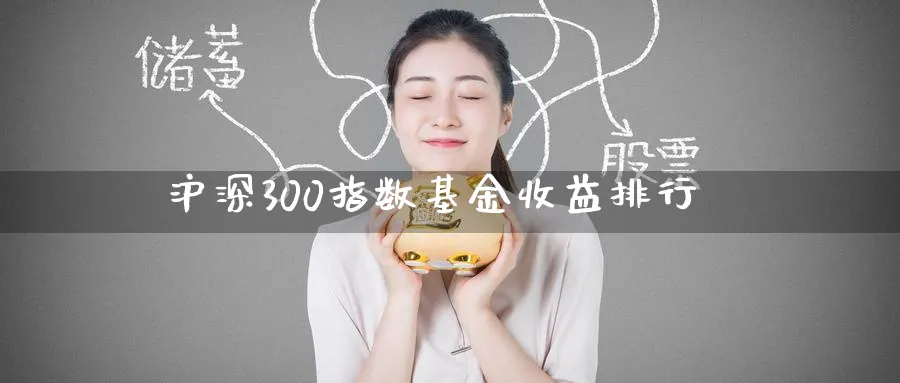 沪深300指数基金收益排行_https://www.51pinbao.com_纳指直播室_第1张