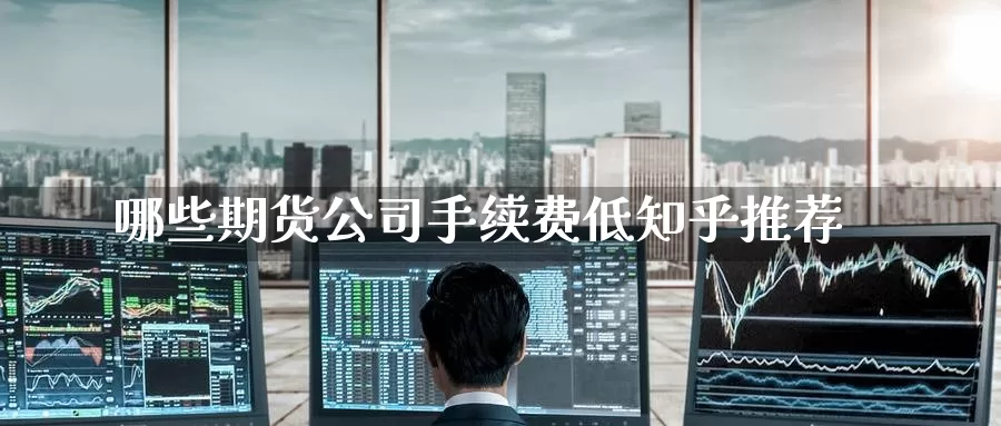哪些期货公司手续费低知乎推荐_https://www.51pinbao.com_德指直播室_第1张