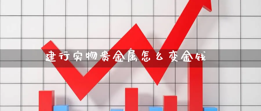 建行实物贵金属怎么变金钱_https://www.51pinbao.com_恒指直播室_第1张