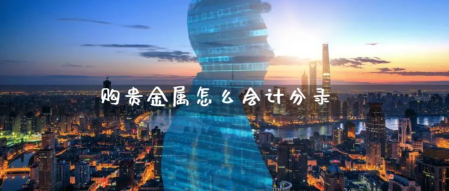购贵金属怎么会计分录_恒指直播室_第1张_51期货直播网 购贵金属怎么会计分录_https://www.51pinbao.com_恒指直播室_第1张