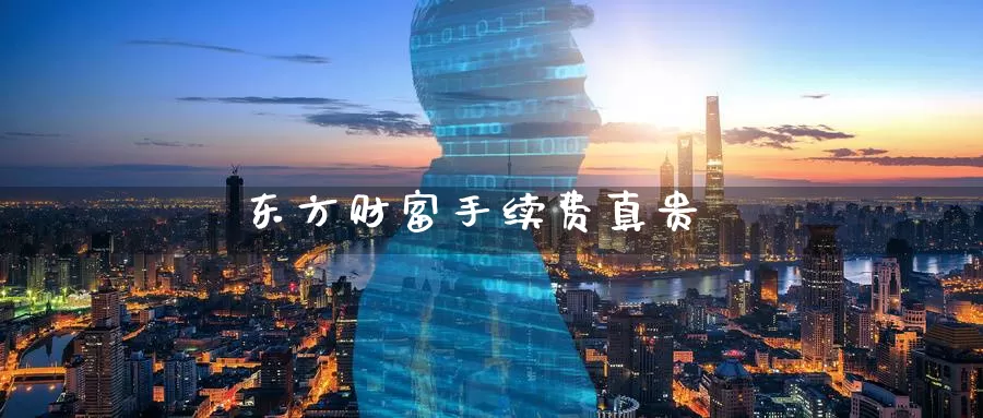 东方财富手续费真贵_https://www.51pinbao.com_德指直播室_第1张