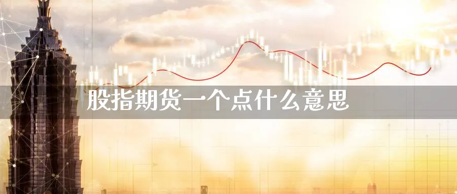 股指期货一个点什么意思_https://www.51pinbao.com_纳指直播室_第1张