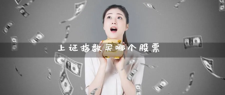 上证指数买哪个股票_https://www.51pinbao.com_纳指直播室_第1张