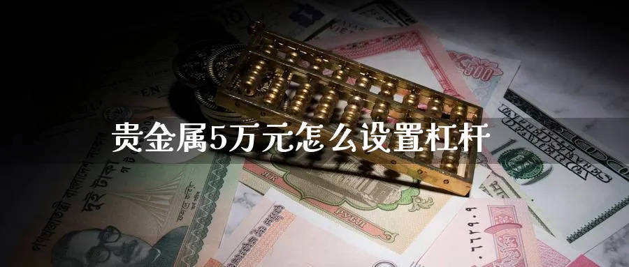 贵金属5万元怎么设置杠杆_https://www.51pinbao.com_恒指直播室_第1张