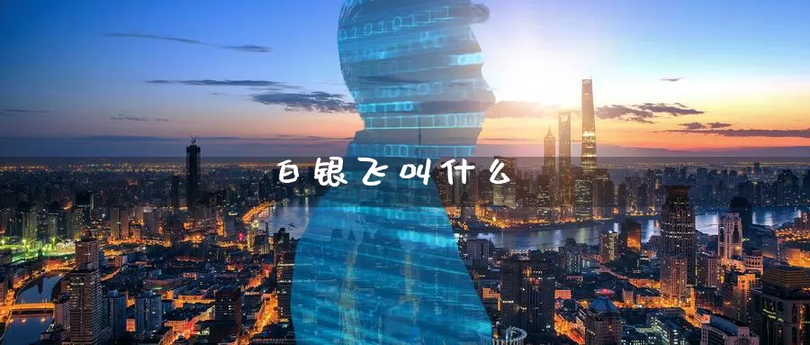 白银飞叫什么_德指直播室_第1张_51期货直播网 白银飞叫什么_https://www.51pinbao.com_德指直播室_第1张