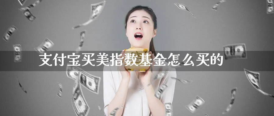 支付宝买美指数基金怎么买的_https://www.51pinbao.com_期货直播室_第1张