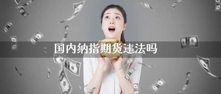 国内纳指期货违法吗_https://www.51pinbao.com_纳指直播室_第1张