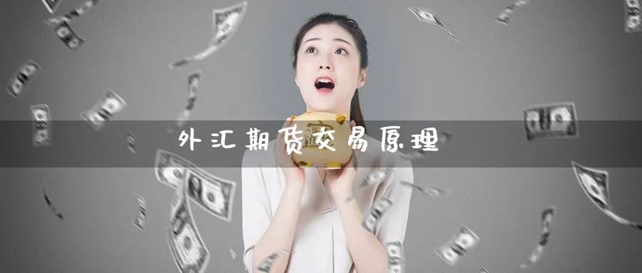 外汇期货交易原理_黄金直播室_第1张_51期货直播网 外汇期货交易原理_https://www.51pinbao.com_黄金直播室_第1张