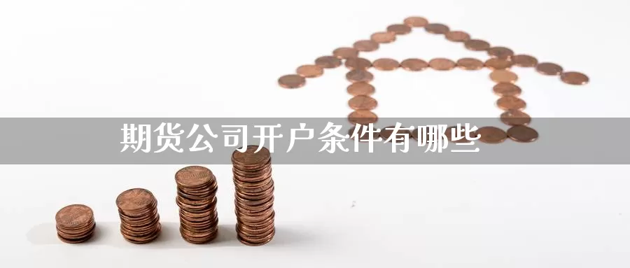 期货公司开户条件有哪些_https://www.51pinbao.com_黄金直播室_第1张