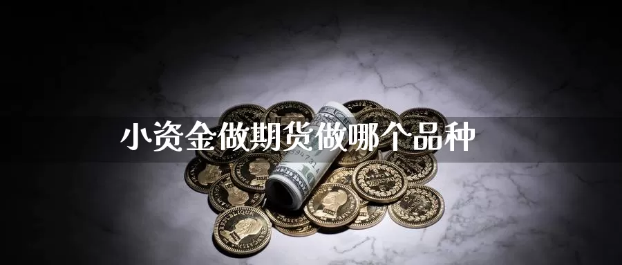 小资金做期货做哪个品种_https://www.51pinbao.com_德指直播室_第1张