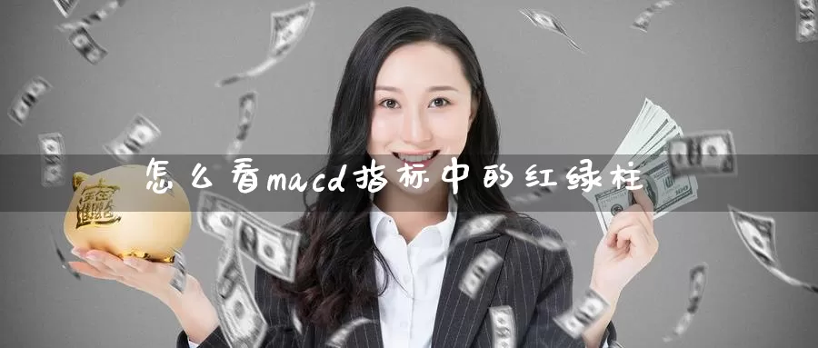 怎么看macd指标中的红绿柱_期货直播室_第1张_51期货直播网 怎么看macd指标中的红绿柱_https://www.51pinbao.com_期货直播室_第1张