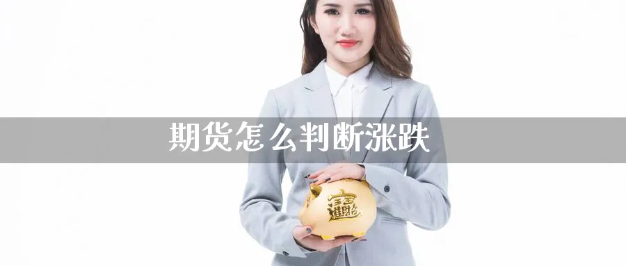 期货怎么判断涨跌_https://www.51pinbao.com_期货直播室_第1张
