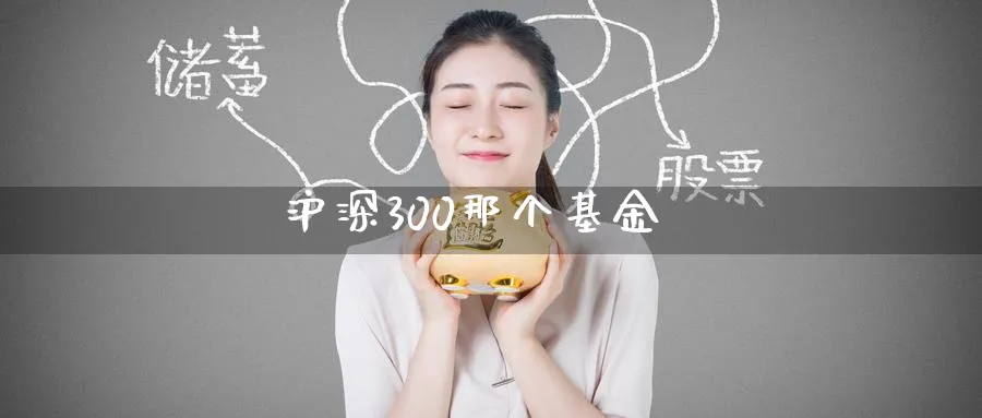 沪深300那个基金_https://www.51pinbao.com_原油直播室_第1张