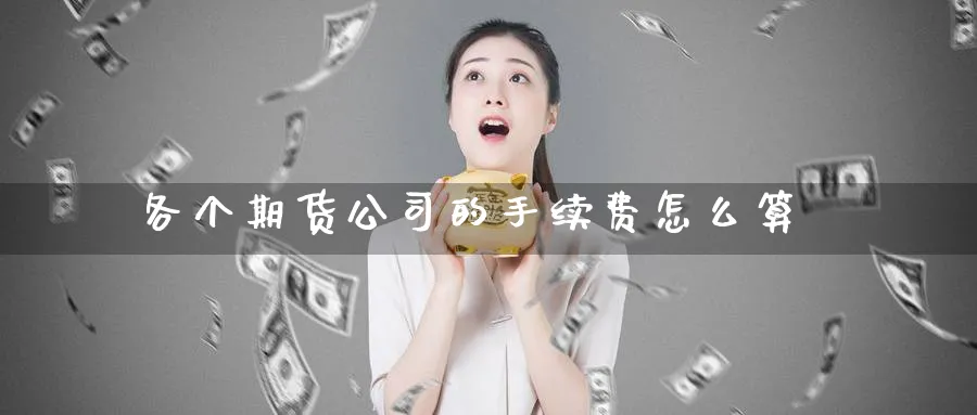 各个期货公司的手续费怎么算_https://www.51pinbao.com_期货直播室_第1张