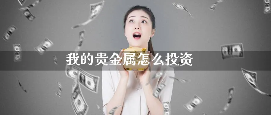 我的贵金属怎么投资_https://www.51pinbao.com_恒指直播室_第1张