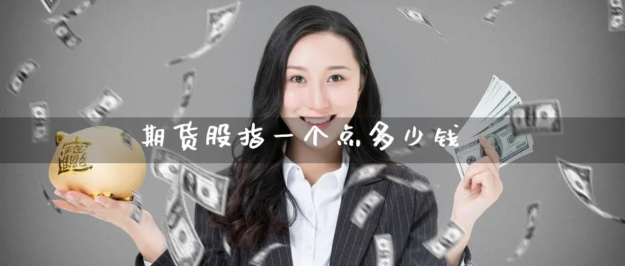 期货股指一个点多少钱_https://www.51pinbao.com_恒指直播室_第1张