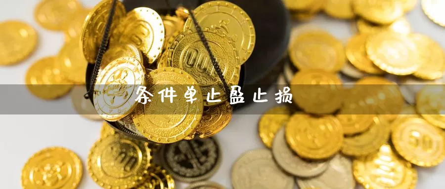 条件单止盈止损_https://www.51pinbao.com_德指直播室_第1张