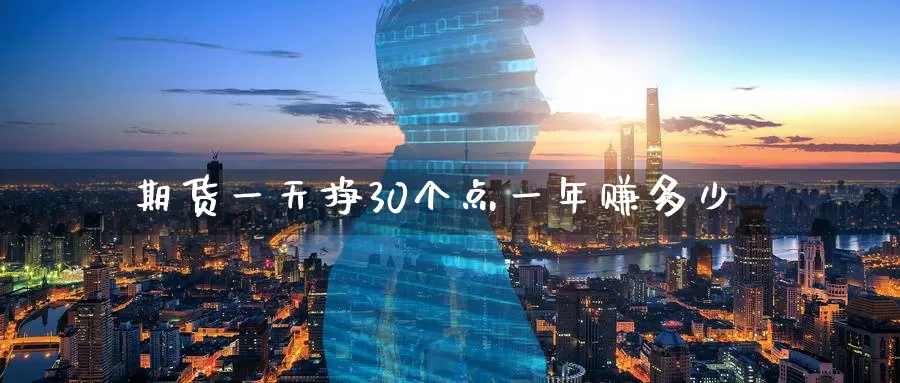 期货一天挣30个点一年赚多少_https://www.51pinbao.com_恒指直播室_第1张