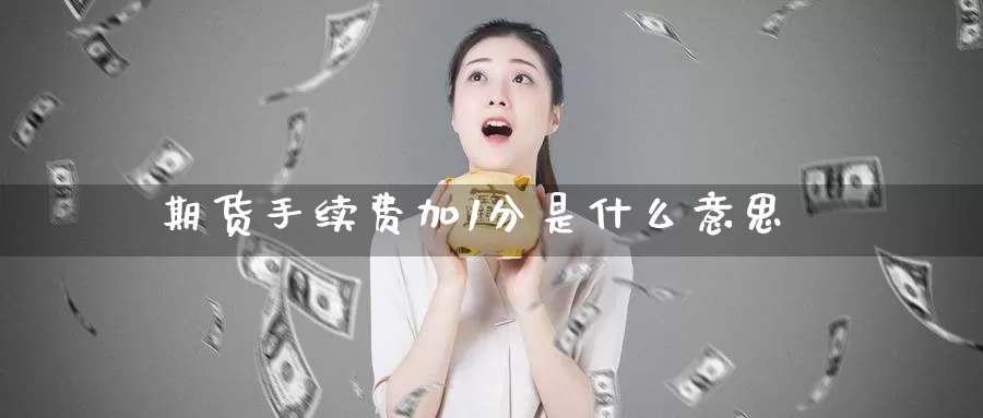 期货手续费加1分是什么意思_https://www.51pinbao.com_恒指直播室_第1张