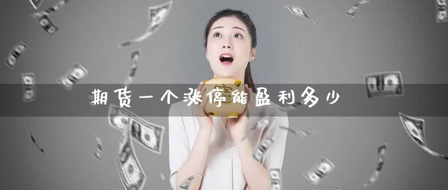期货一个涨停能盈利多少_https://www.51pinbao.com_期货直播室_第1张