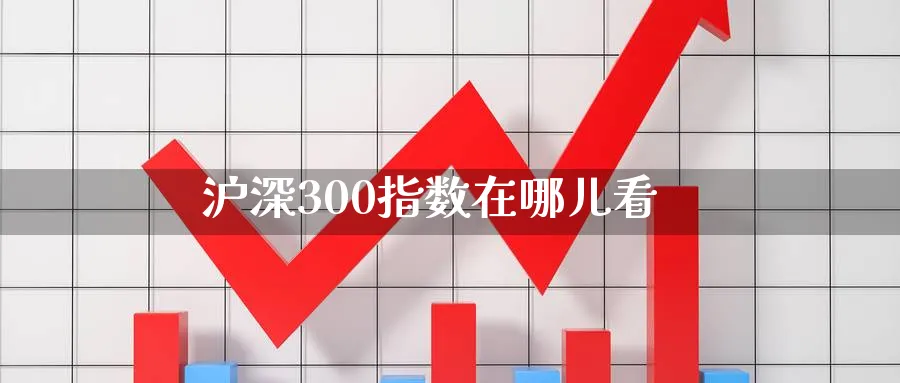 沪深300指数在哪儿看_https://www.51pinbao.com_期货直播室_第1张