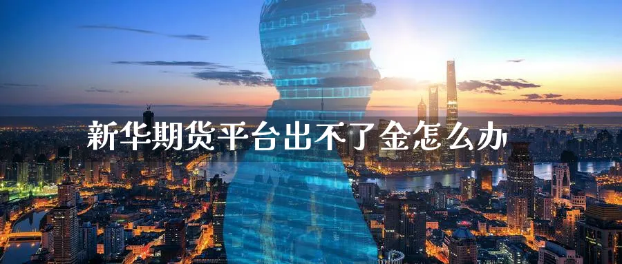 新华期货平台出不了金怎么办_https://www.51pinbao.com_纳指直播室_第1张