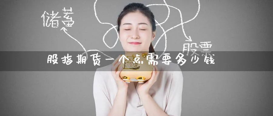 股指期货一个点需要多少钱_https://www.51pinbao.com_恒指直播室_第1张