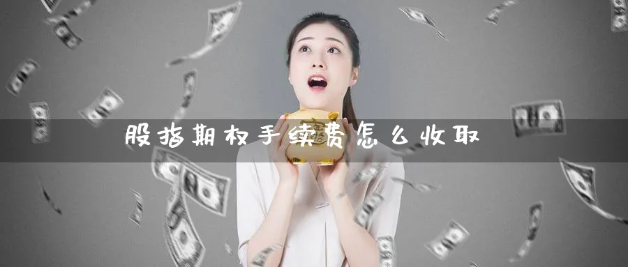 股指期权手续费怎么收取_纳指直播室_第1张_51期货直播网 股指期权手续费怎么收取_https://www.51pinbao.com_纳指直播室_第1张