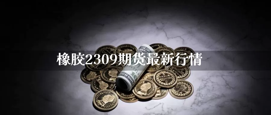 橡胶2309期货最新行情_https://www.51pinbao.com_恒指直播室_第1张