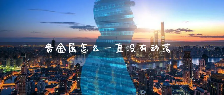 贵金属怎么一直没有动荡_原油直播室_第1张_51期货直播网 贵金属怎么一直没有动荡_https://www.51pinbao.com_原油直播室_第1张