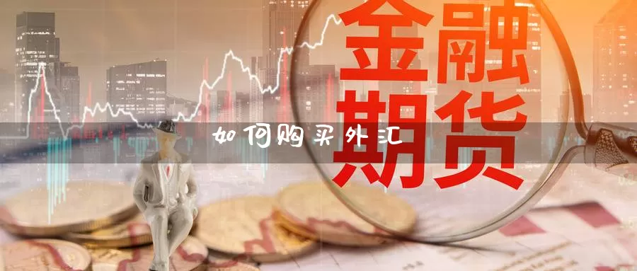 如何购买外汇_https://www.51pinbao.com_期货直播室_第1张