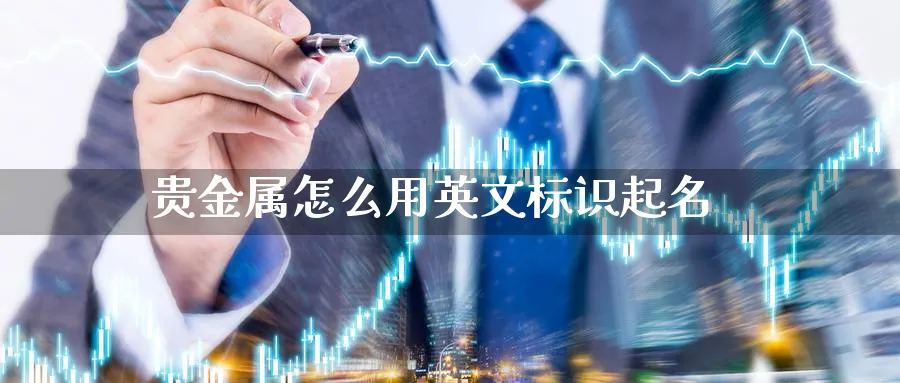 贵金属怎么用英文标识起名_https://www.51pinbao.com_恒指直播室_第1张