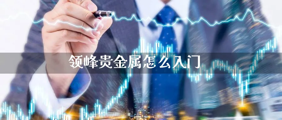 领峰贵金属怎么入门_纳指直播室_第1张_51期货直播网 领峰贵金属怎么入门_https://www.51pinbao.com_纳指直播室_第1张