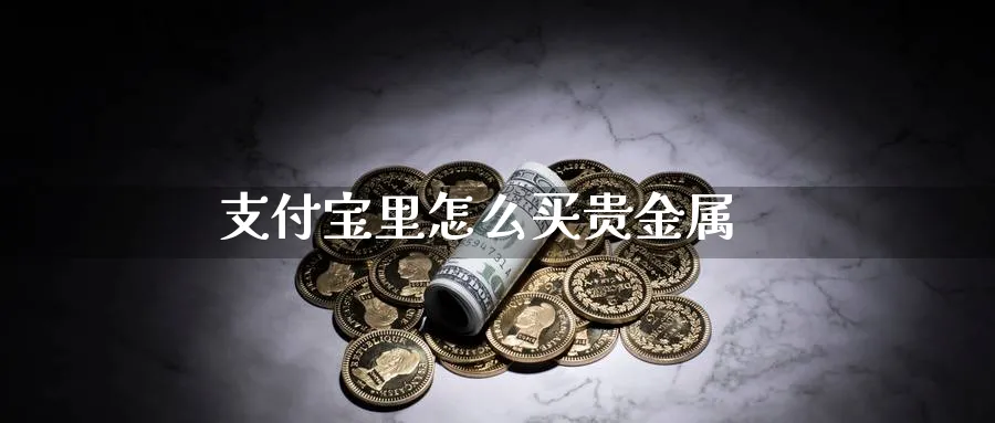 支付宝里怎么买贵金属_https://www.51pinbao.com_恒指直播室_第1张