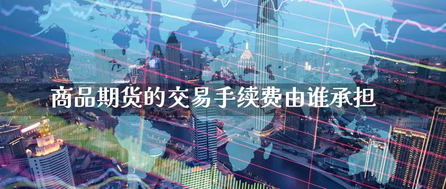 商品期货的交易手续费由谁承担_https://www.51pinbao.com_德指直播室_第1张