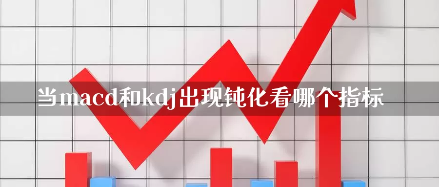 当macd和kdj出现钝化看哪个指标_https://www.51pinbao.com_恒指直播室_第1张